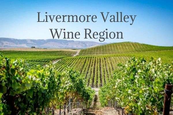 Livermore Valley Limousine Wine Tours